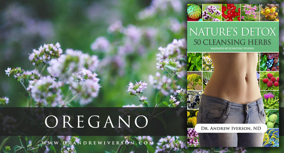OREGANO FIGHTS INFECTIONS!